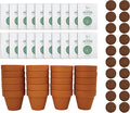 BUZZY Seeds Spruce Terracotta Mini Grow Pots | Tree Starter Kit for Kids & Adults | Bulk 20-Pack | Guaranteed to Grow | Best Indoor Grow Your Own Gardening Gift | Craft & Classroom Projects