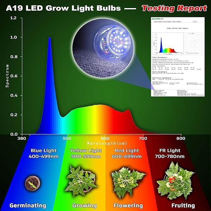 E12 Candelabra Grow Light Bulbs for Indoor Plants Full Spectrum,Small Base Grow LED Lamp Bulb 10W with Balanced Spectrum 5000K Red Blue for Seeds Greens Laboratory,School,Greenhouse, Hydroponic,3Pack