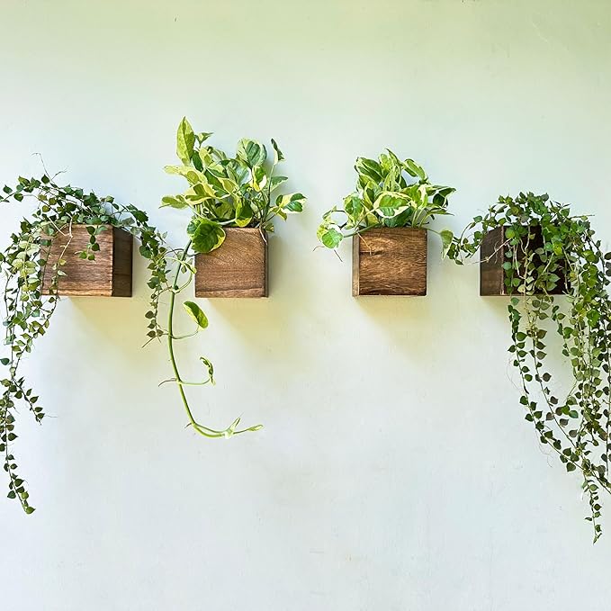 LaLaGreen Wood Planter Boxes (4 Pack, 4x4 Inch) Small Square Wooden Wall Mounted Flower Pot for Indoor Plants, Window Box Mount Hanging Herb Planters Outdoor Plant Holder Vertical Garden Home Decor