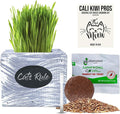 Cat Grass for Indoor Cats Kit – Organic Wheatgrass Seed & Soil, Hairball Remedy in Red Cedar Planter, Gift Box with Bonus Label, Pen & 10% Cat Treats Discount (White)