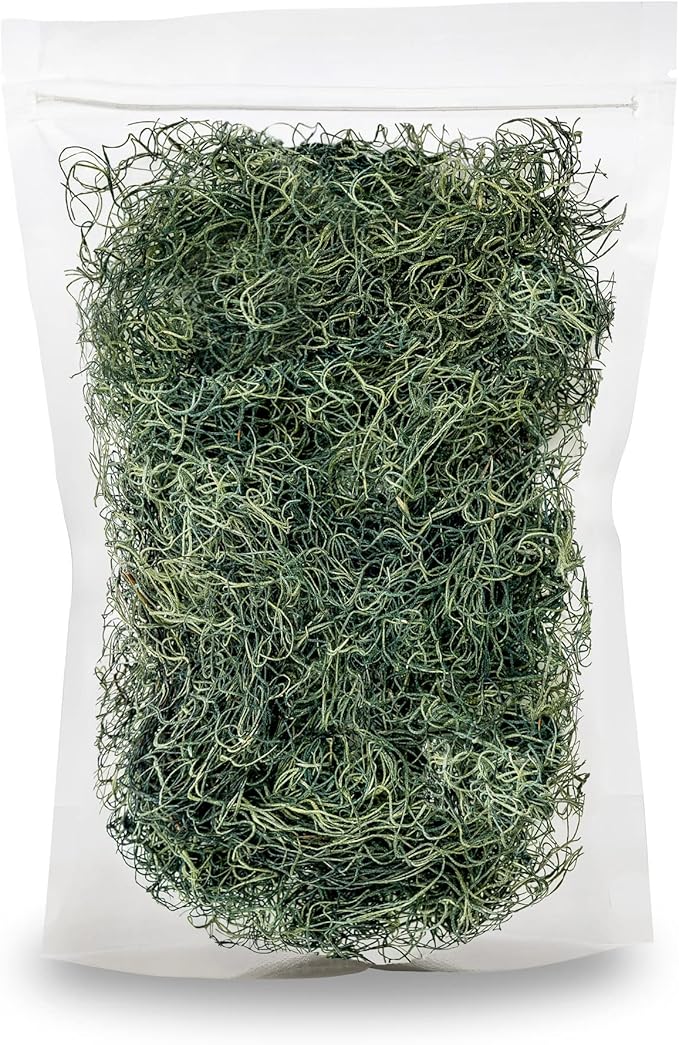 Premium Spanish Moss in Basil| Natural Preserved - Great Ground Cover - Filler for Potted Plants - by GARDENERA - 3 Quart Bag