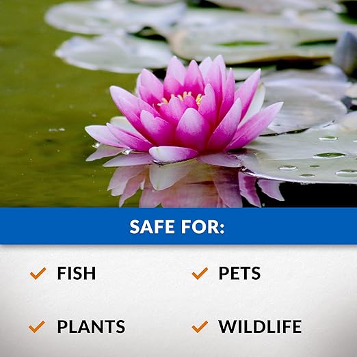 CrystalClear Algae D-Solv Pond Algae Control, Fast-Acting EPA Registered Algaecide, Use in Fountains & Outdoor Ponds Containing Koi & Other Fish, Treats 115,200 Gallons, 2.5 Gallons