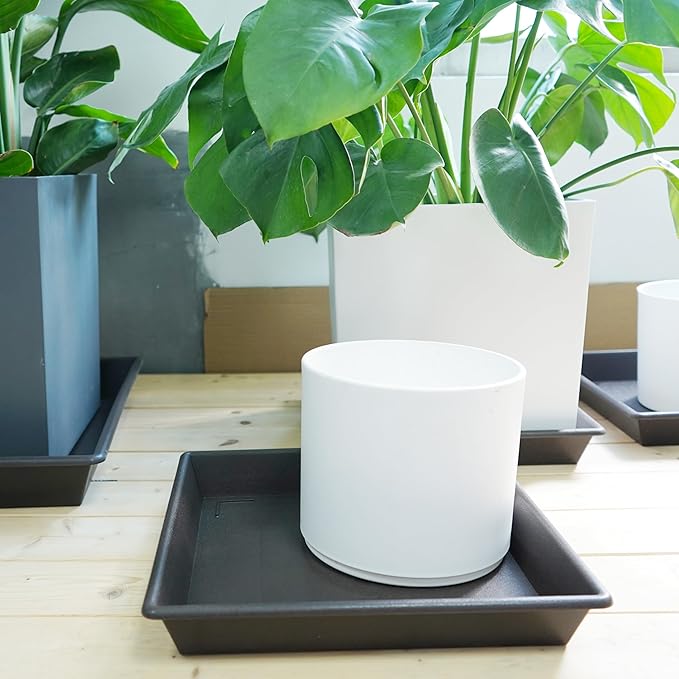 Square Plant Saucer 12 Inch 5 Pack, Plant Stand Plant Trays for Pots Heavy Duty Plastic Plant Saucers for Indoors Outdoors, Flower Pot No Holes Plant Lover Gardening Gifts