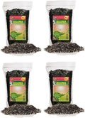 Begonia Potting Mix - Unlock Robust Growth and Enchanting Blossoms with Our High-Performance Formula - 20 Quart