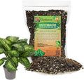 Premium DIEFFENBACHIA Potting Soil Mix - Ideal for Growing Robust and Healthy Dieffenbachia - 3 Quart