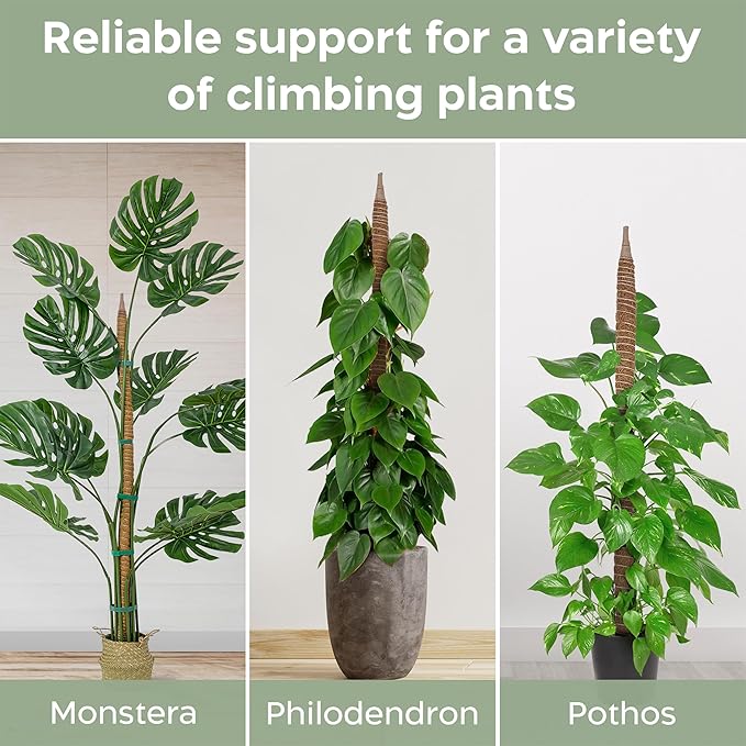 63'' Bendable Moss Pole Monstera Plant Support for Climbing Indoor Plants - Stakes for Potted Climbers - Tall Sticks Indoor Trellis for Houseplants - Accessories for Monstera Pot