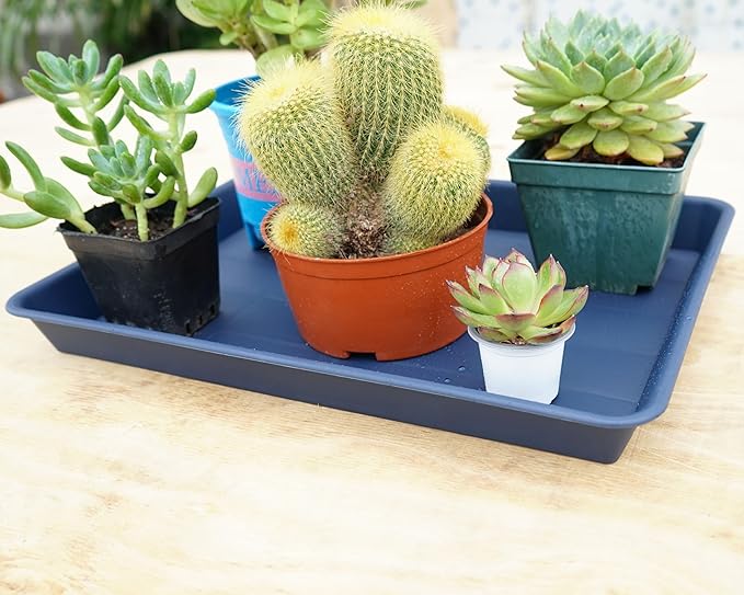 Plant Saucer Growing Tray, Seed Starter Tray Rectangular, Heavy Sturdy Plastic Plant Saucers Drainage Trays, Plant Drip Trays for Pots, Seed Starter Growing Tray (11 x 9 inch, 2 Pack)