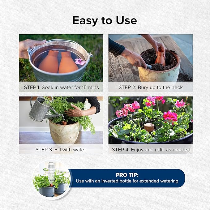 Classic Olla Watering Pot Mini – Set of 2 | Holds 12 Ounces | Plant Watering Bulb Olla Watering System with Terra Cotta Irrigation Pots | Self Watering While on Vacation | The Olla Company