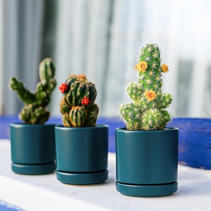 D'vine Dev 3.5 Inch Ceramic Planter Pot with Drainage Hole and Saucer, Indoor Cylinder Round Planter Pot, Teal, 94-O-A-9