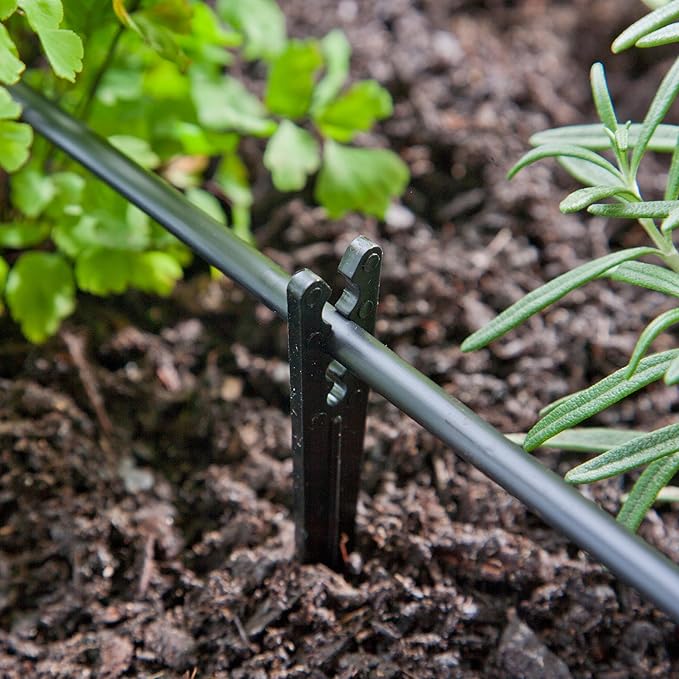 Raindrip GL56708645X10 1/8 in-1/4 in. Heavy-Duty Tubing Support Stake, No Size, Black