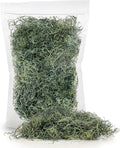 Premium Spanish Moss in Basil| Natural Preserved - Great Ground Cover - Filler for Potted Plants - by GARDENERA - 5 Quart Bag