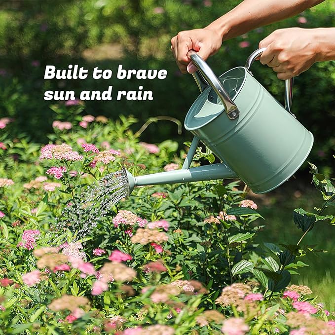 1 Gallon Watering Can for Plants, Watering Cans for Indoor&Outdoor Gardening, Galvanized Steel Watering Pot with Removable Spout, Metal Water Can with Ergonomic Movable Handle(Cream Green)