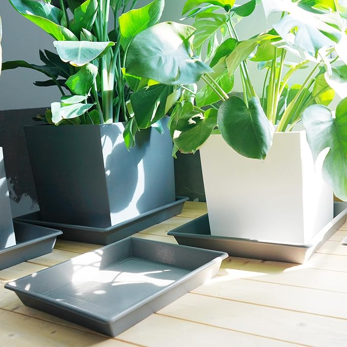 Square Plant Saucer 14 Inch 2 Pack，Plant Stand Plant Trays for Pots Heavy Duty Gray Plastic Plant Saucers for Indoors Outdoors, Flower Pot No Holes Plant Lover Gardening Gifts