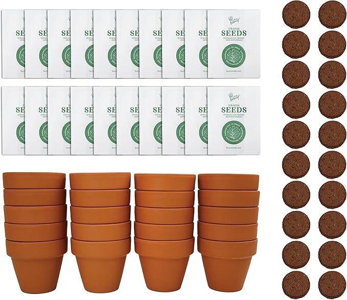 BUZZY Daisy Seeds & Genuine Terracotta 5cm Mini Pot Bulk Pack (20 Count), Includes 20 Each of pots, Soil pellets and Seeds - Great for Favors, Crafts, School Projects - Guaranteed to Grow