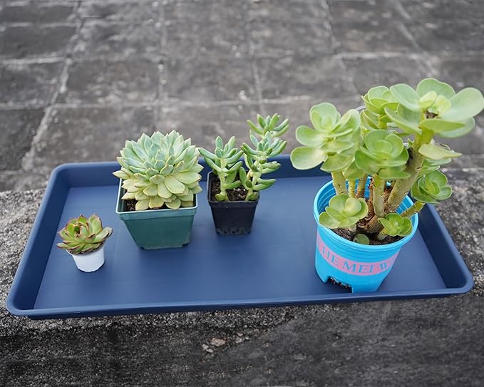 Plant Saucer Growing Tray, Seed Starter Tray Rectangular, Heavy Sturdy Plastic Plant Saucers Drainage Trays, Plant Drip Trays for Pots, Seed Starter Growing Tray (11 x 9 inch, 2 Pack)