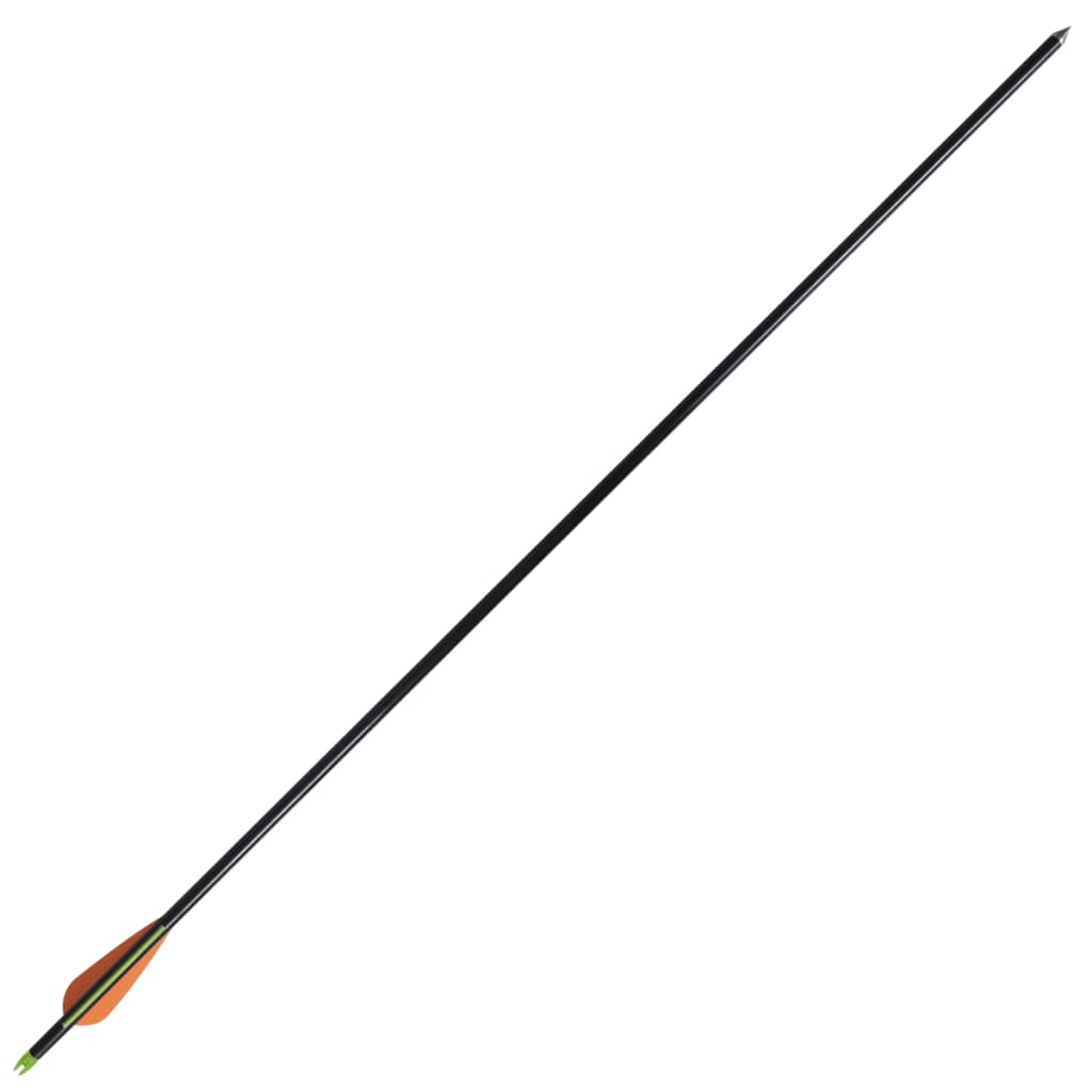 NNEVL Adult Compound Bow with Accessories and Fiberglass Arrows
