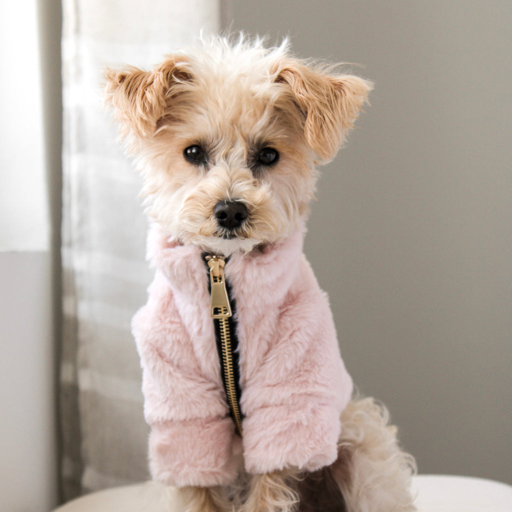Furi Pet Coat - Rose