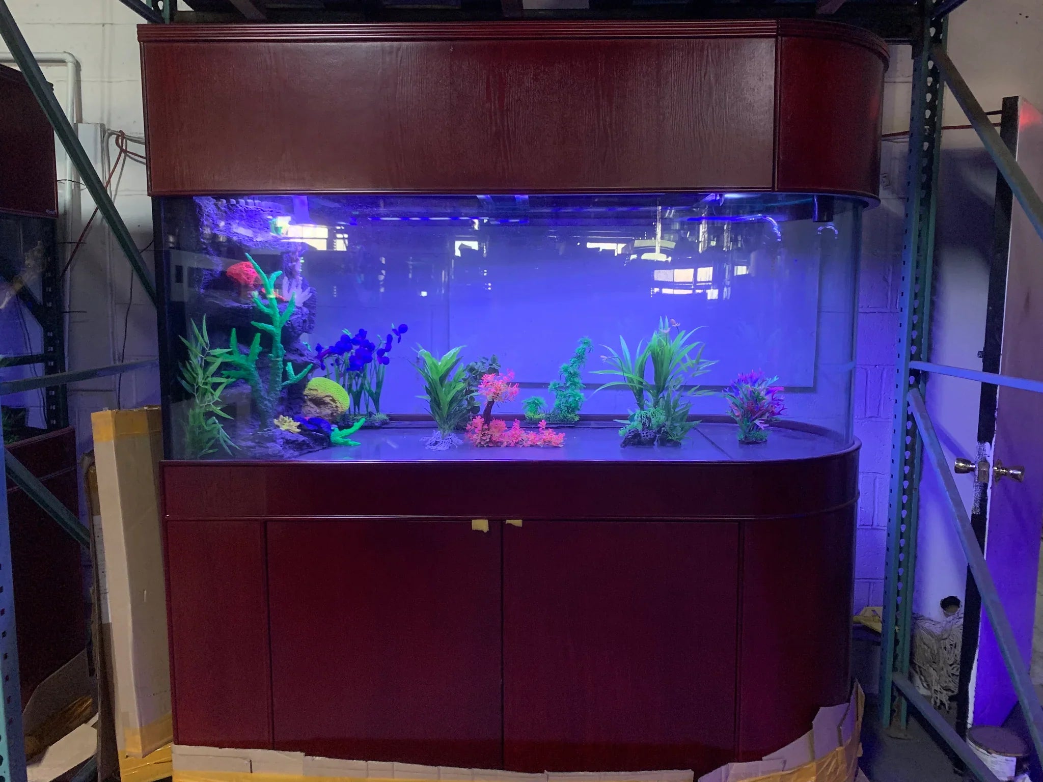 Rose Cherry Color * 120g Reef-Ready Glass Peninsula Bullet Bullnose U-Shape Aquarium Set