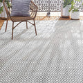 Home Dynamix Tripoli Lydia Modern Indoor/Outdoor Area Rug, Gray/Cream, 3'7"x5'2" Rectangle