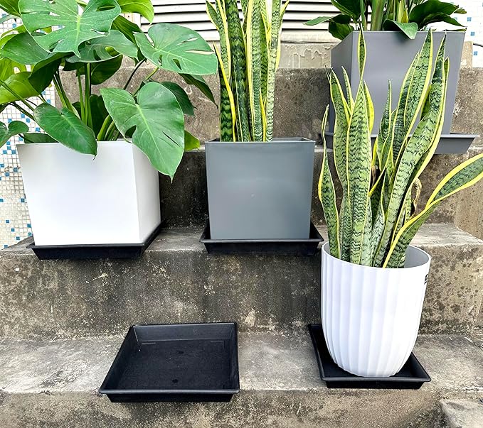 Square Plant Saucer 12 Inch 5 Pack 8 10 12 14 16 18 20 Inch, Plant Trays for Pots Heavy Duty Plastic Plant Saucers for Indoors Outdoors, Flower Pot No Holes Plant Drip Trays