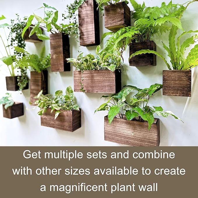 LaLaGreen Wood Planter Box for Plants (4 Pack) Wooden Hanging Wall Planters for Indoor Plant Holder Vase for Dried Flowers, Modern Living Room Bedroom Kitchen Home Office Decor