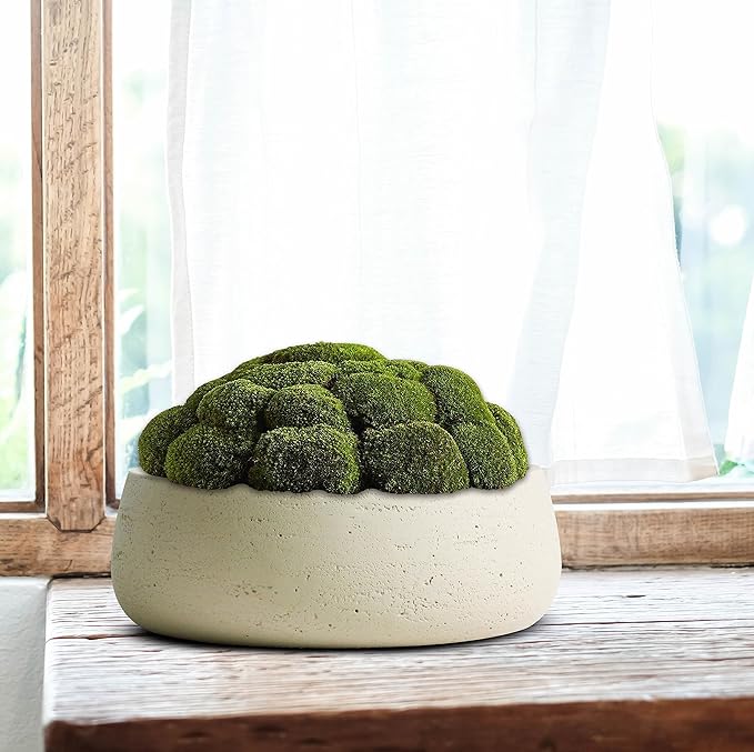 Olly & Rose Large Ceramic Planter Bowl Shallow Plant Pot - Off White Cream Ivory Flower Pot Indoor and Outdoor Decorative Bowl Garden and Home Décor