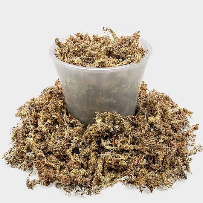 Sphagnum Moss Potting Mix for Carnivorous Plants, Moss and Perlite Blend for Potting Venus Fly Traps, Sarracenia, Pitcher Plants - 75% Sphagnum Moss + 25% Perlite - Made in USA - 5 Quart