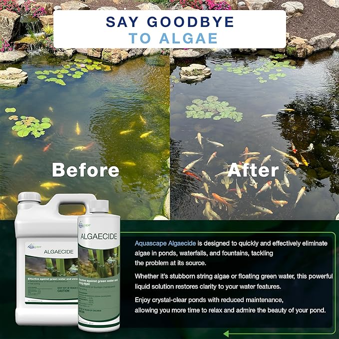 Aquascape 96022 Algaecide for Pond, Waterfall, and Water Features, 8-Ounce