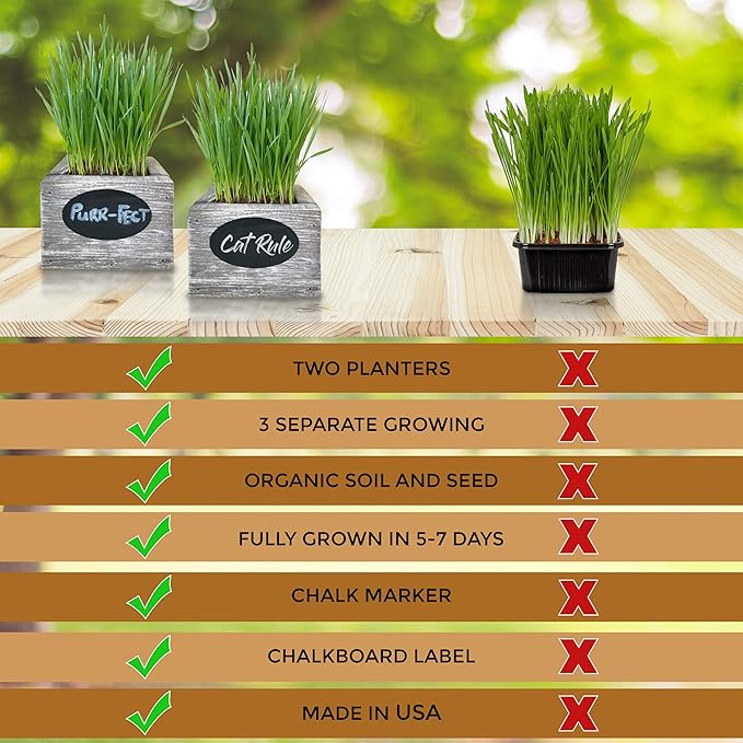 Cat Grass for Indoor Cats Kit – Best Value Organic Seed & Soil for 3 Growing Cycles, Natural Hairball Remedy & Cat Gifts (White Wash)
