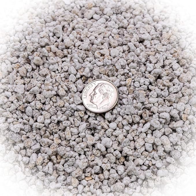 Organic Perlite - Medium/Fine Grade (1 Quart Bag) Horticultural Soil Amendment for Indoor & Outdoor Container Plants for Drainage Management and Enhanced Growth