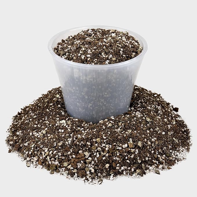 African Violets and Gesneriad Premium Soil Mix - Horticultural Perlite (25%) + Vermiculite (25%) + Sphagnum Peat Moss (50%) - Made in USA - (2 Quart Bag)