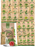Organo Republic 30 Most Popular Winter Vegetable Garden Seeds Variety Pack- Outdoors/Indoor 8300+ Non-GMO Heirloom Veggie Seeds Broccoli Beet Carrot Cabbage Chives Lettuce Radish Pea Spinach & More