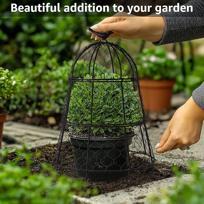 Pack of 10 Heavy-Duty Chicken Wire Plant Cloches – Rustproof Garden Protectors and Plant Cages for Vegetables and Flowers – Safeguard Plants from Deer and Critters – 20” x 12”