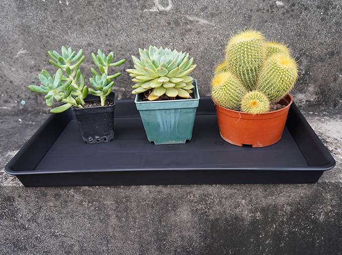 Plant Growing Trays 2 Pack, Plant Tray, 14.5"x11", Heavy Sturdy Plastic Plants Saucer, Seedling Starter Trays, Seed Starter Growing Tray (Black)