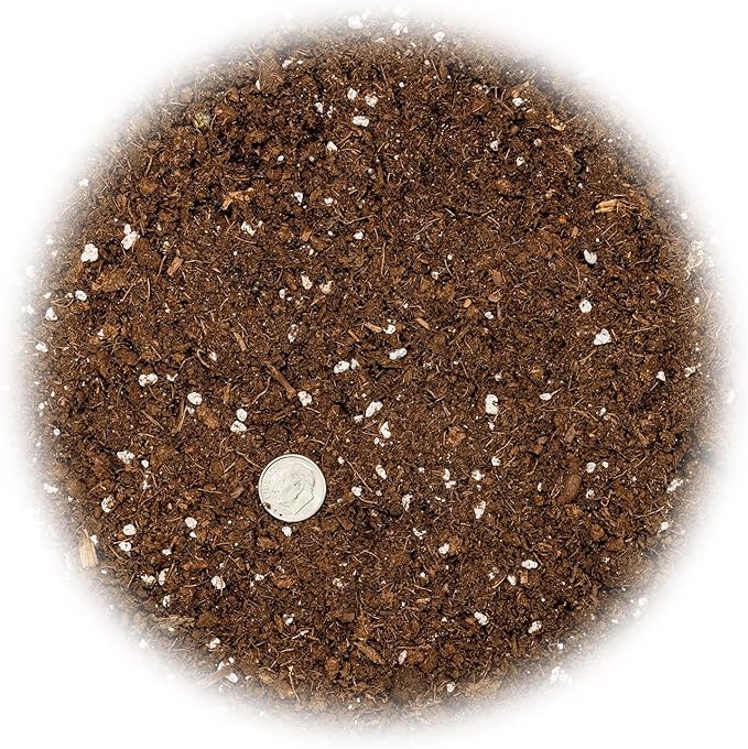 Money Tree Potting Soil, Soil Mix for Planting or Repotting Guiana Chestnut, Soil Blended to Properly Grow Money Tree Plants - (3 Quart Bag)