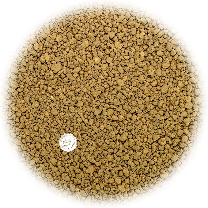 Japanese Hyuga Pumice - Premium Additive for Orchid & Bonsai Tree Soil |Professional Imported Sifted and Ready to Use (2 Quart Bag)