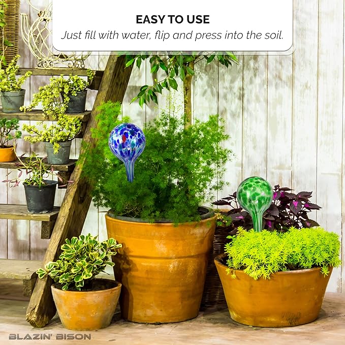Blazin Automatic Irrigation Drippers Extra Large | Watering Globes for Indoor Plants | House Plant Water Bulb | Up to Two Weeks 2pc Set (Jumbo)