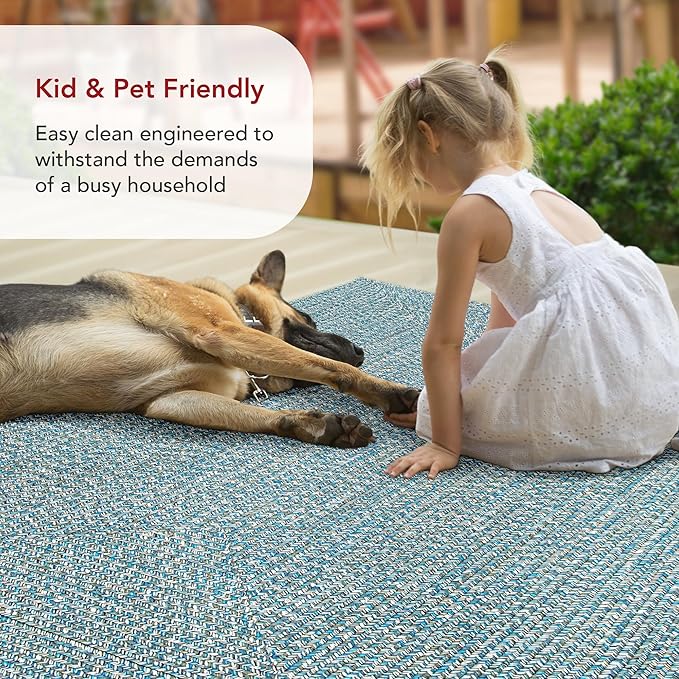 nuLOOM 3' x 5' Solid Hand Braided Indoor/Outdoor Area Rug, Pet-Friendly, High Traffic, Weather Resistant, for Patio, Balcony, Bedroom, Living Room, Dining Room, Wynn Aqua