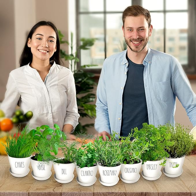 Deluxe Indoor & Outdoor Herb Garden Kit – 8 or The Most Popular Culinary Herbs with Pots & Soil for Windowsill or Patio Growing