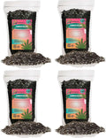 Zamioculcas Potting Mix - Unlock Robust Growth and Striking Leaves with Our High-Performance Formula - 20 Quart