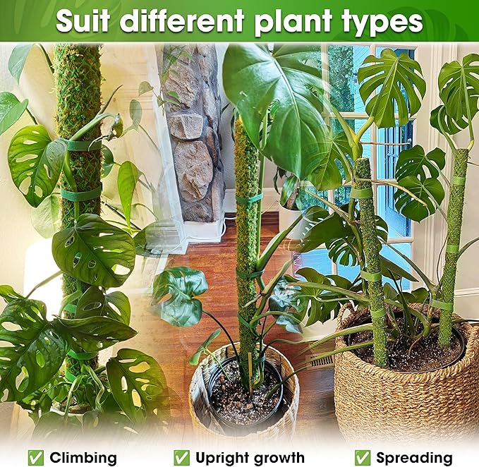 DUSPRO 42’’ Mesh Moss Pole for Plants, Tall Trellis for Climbing Monstera Plant Support, Sphagnum Moss Stick for Big Climbing Indoor Plant, Handmade Plant Stakes for Houseplant
