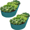 Galvanized Raised Garden Beds Outdoor // 8×4×1 ft (2-Pack) Planter Raised Beds for Gardening, Vegetables, Flowers // Large Metal Garden Box // Patented Tool-Free Design (Turquoise)