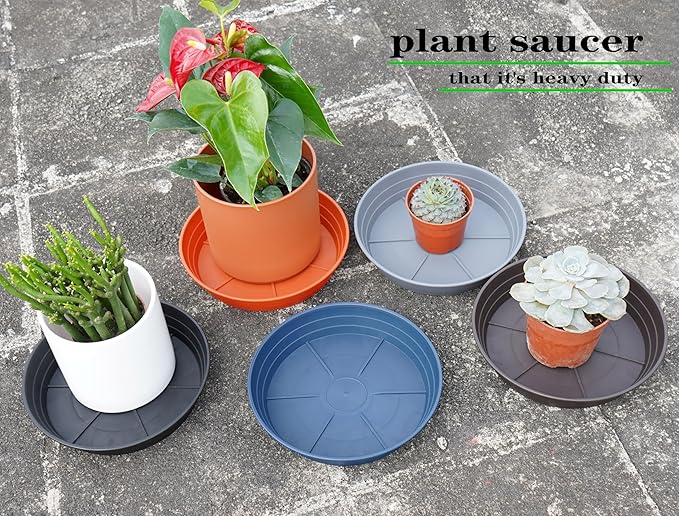 Plant Saucer 6 Inch 4 Pack 6 8 10 12 14 16 18 20 25, Plastic Plant Trays for Pots，Extra-Deep Plant Water Dray Tray, Bird Bath Bowl, Heavy Flower Plant saucers Indoors and Outdoor No Holes 6in-4 red