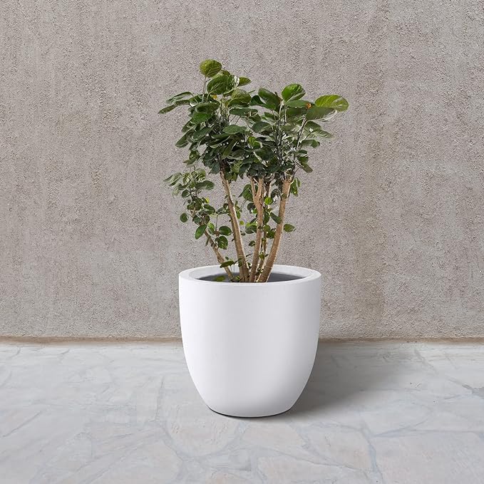 Kante 14 Inch Dia Round Concrete Planter, Indoor Outdoor Large Plant Pot with Drainage Hole and Rubber Plug for Home Patio Garden, Pure White