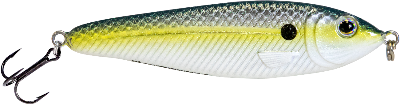 EBS Jigging Spoon
