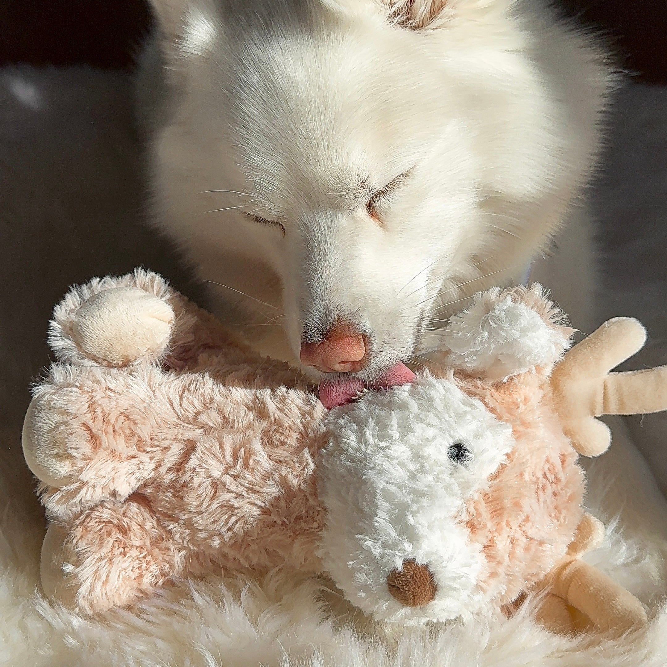 Vixi Maxi Plushie