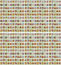 Black Duck Set of 500 Flower Seed Packets! Flower Seeds in Bulk - Best Value Seeds - Great for Classrooms, Beginner Gardeners and Kids! - Deluxe Varieties! (500)