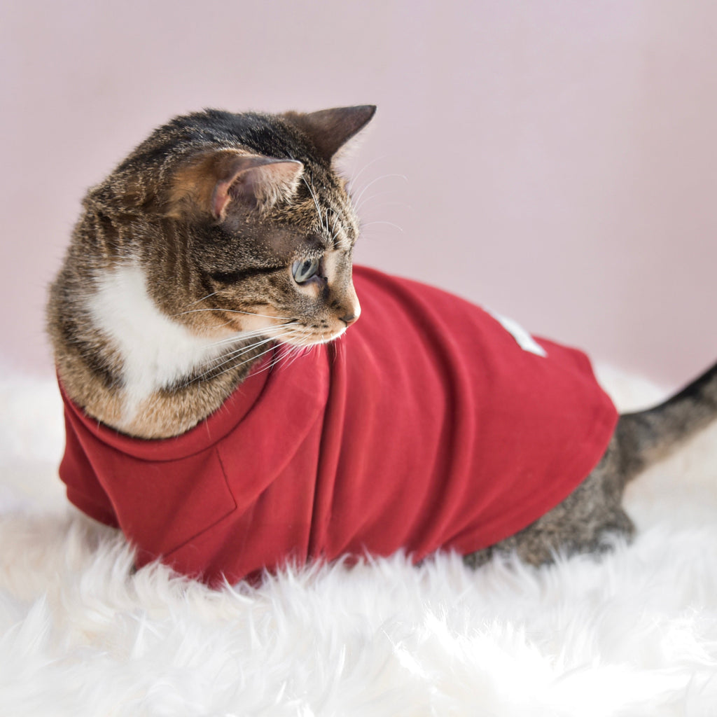 Spoiled Mock Neck Shirt - Lucky
