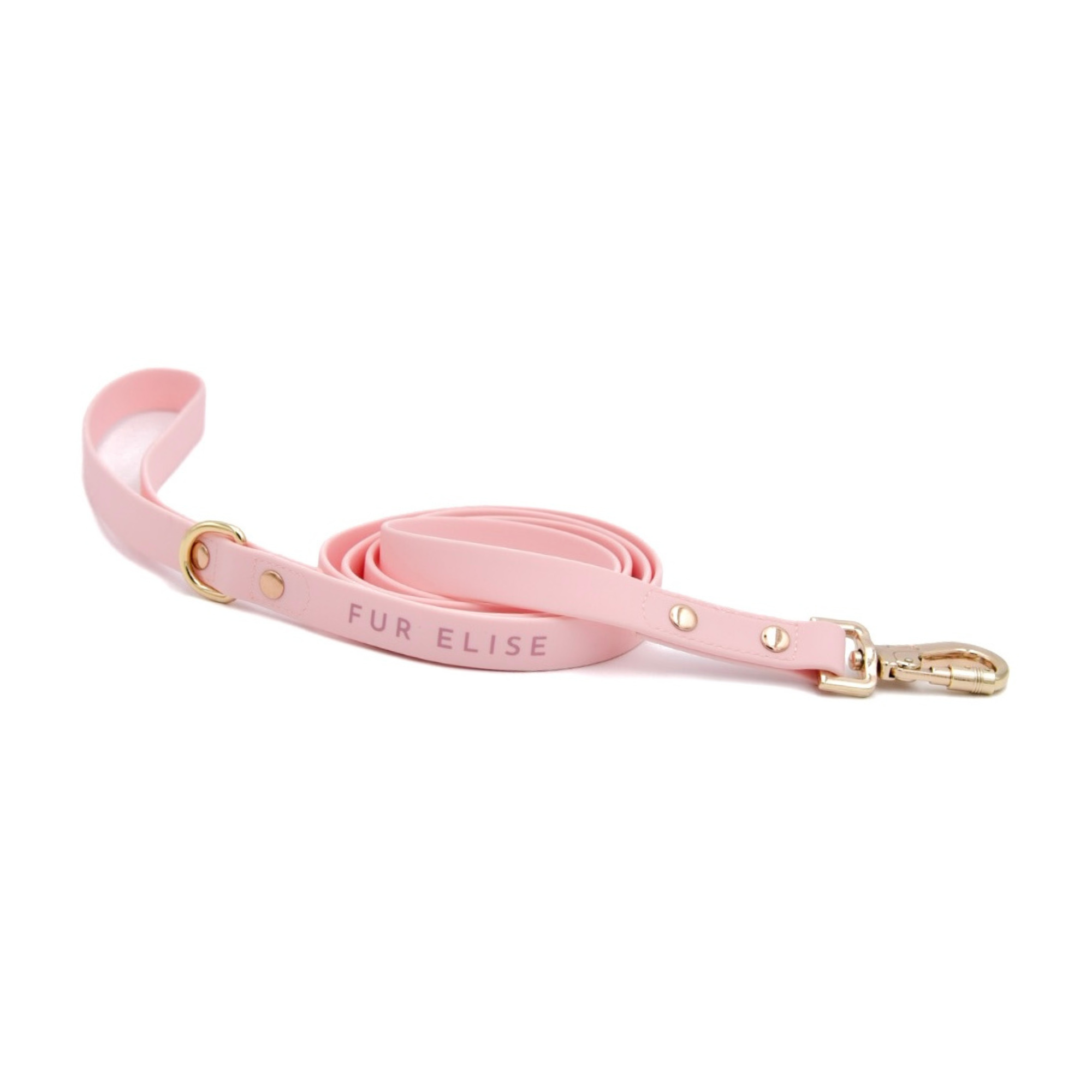 The Ultimate Walk Set - Rose