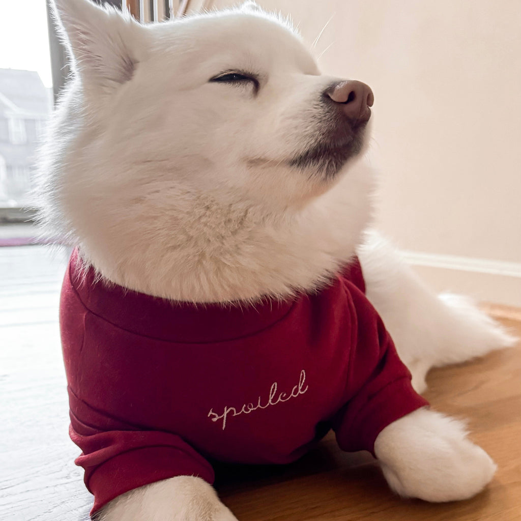 Spoiled Mock Neck Shirt - Lucky